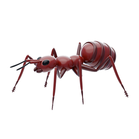 Ant  3D Icon