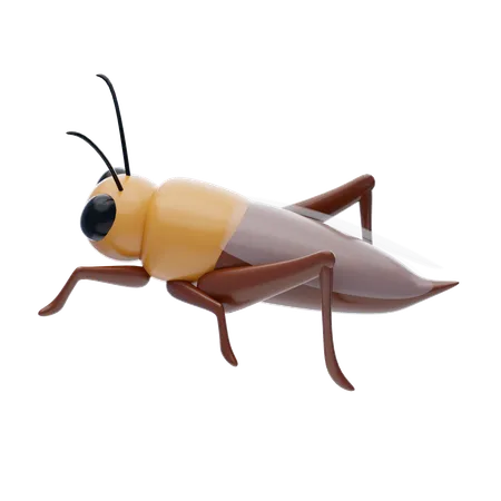 Ant  3D Icon