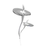 anthurium
