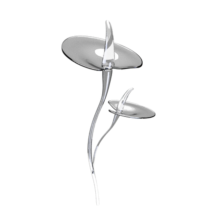 Anthurium  3D Icon