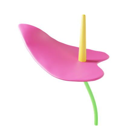 Anthurium  3D Illustration