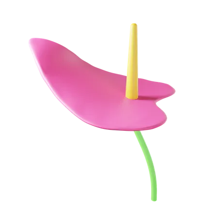 Anthurium  3D Illustration