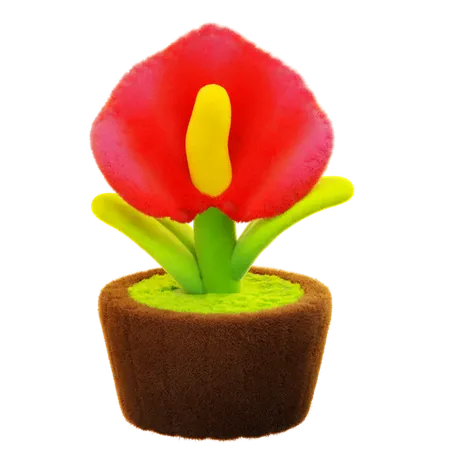 Anthurium-Blume  3D Icon