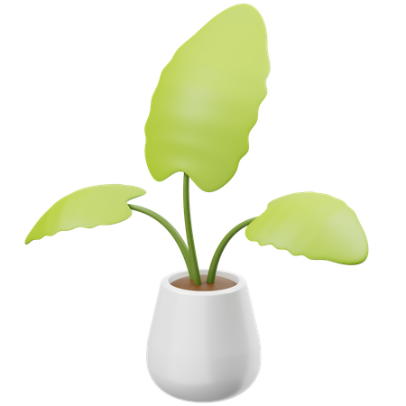 Anthurium Crystallinum 3D Icon
