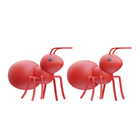 Ants  3D Icon