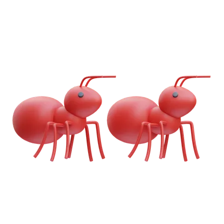 Ants  3D Icon