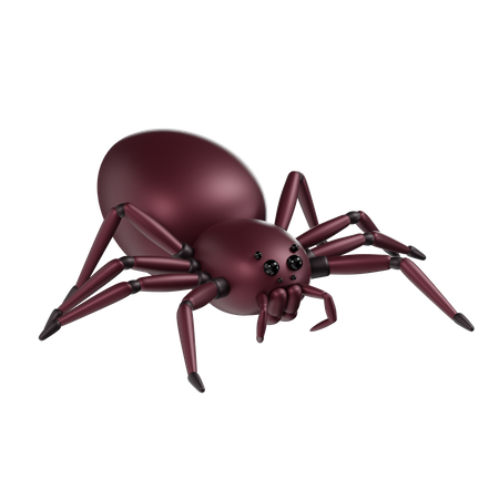 Araignée  3D Icon