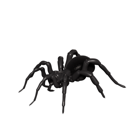 Araña  3D Icon