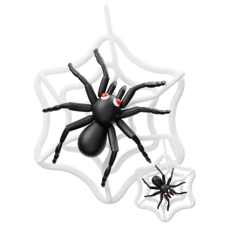 Araña  3D Icon