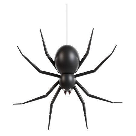 Araña  3D Icon