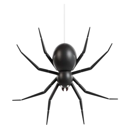 Araña  3D Icon