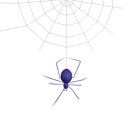 Araña de halloween  3D Icon