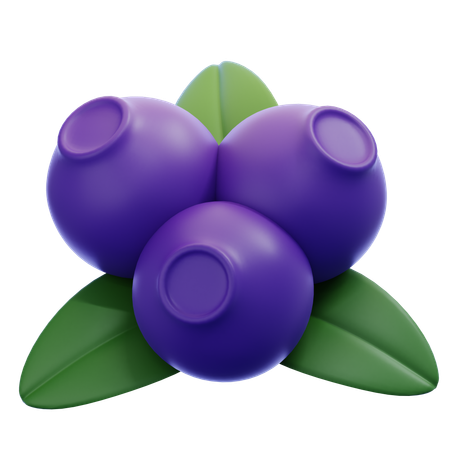 Arándano  3D Icon