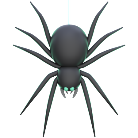 Aranha  3D Icon