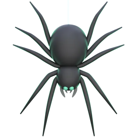 Aranha  3D Icon