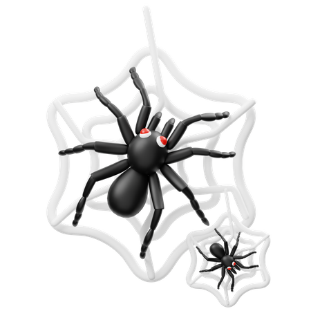 Aranha  3D Icon