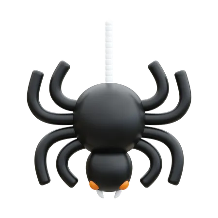 Aranha  3D Icon