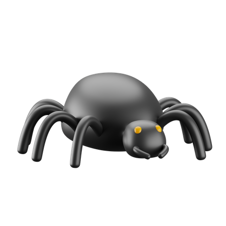 Aranha  3D Icon