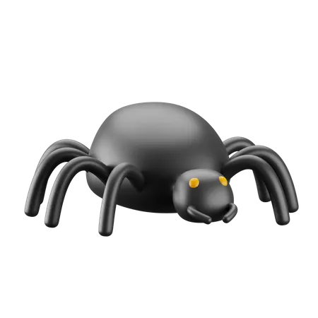 Aranha  3D Icon