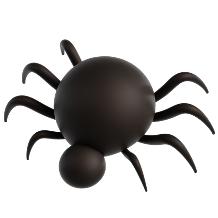 Aranha  3D Icon