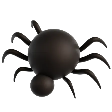 Aranha  3D Icon