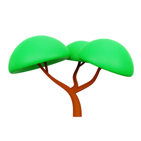 Árbol  3D Icon