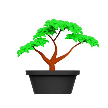 Árbol  3D Icon