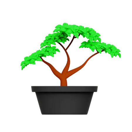 Árbol  3D Icon