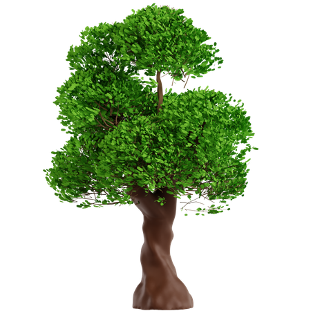 Árbol  3D Icon