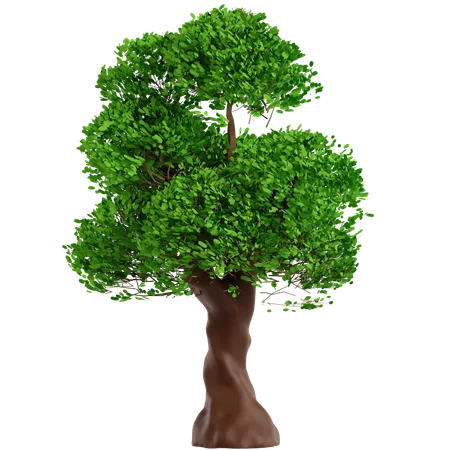 Árbol  3D Icon