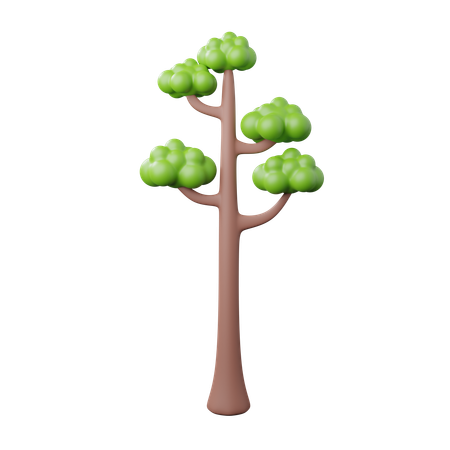 Árbol  3D Icon