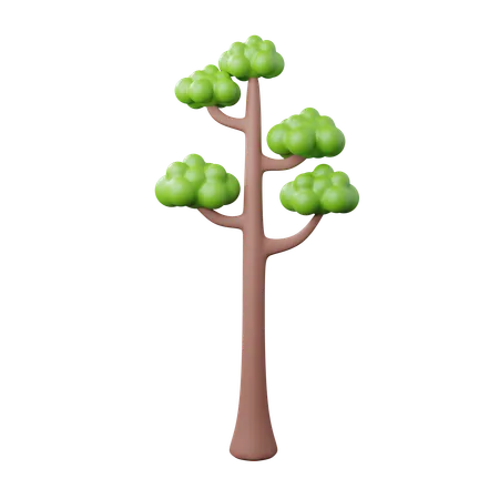 Árbol  3D Icon