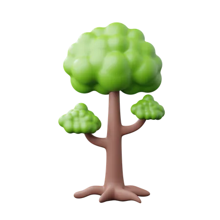 Árbol  3D Icon