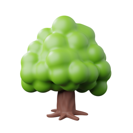 Árbol  3D Icon