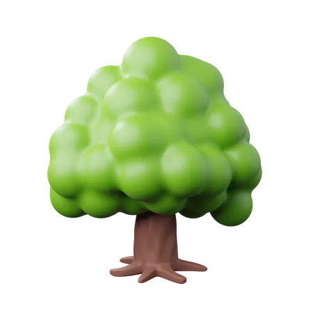 Árbol  3D Icon