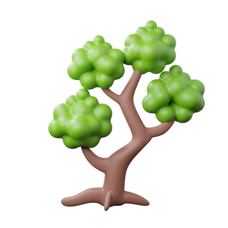 Árbol  3D Icon