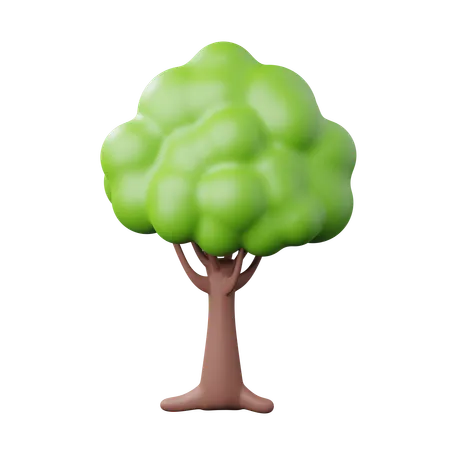 Árbol  3D Icon