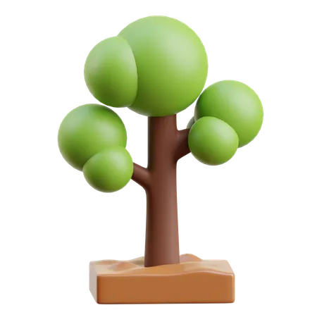 Árbol  3D Icon