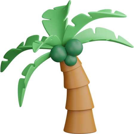 Árbol de coco  3D Icon