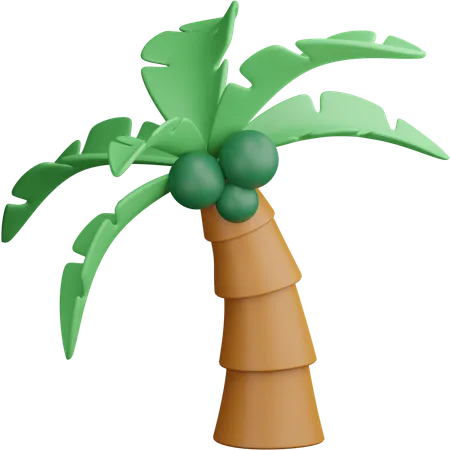 Árbol de coco  3D Icon