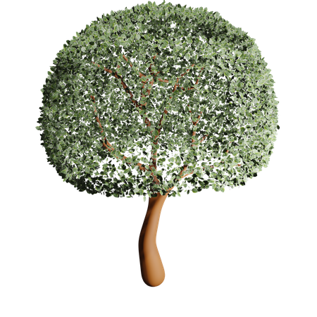 Árbol fértil  3D Icon