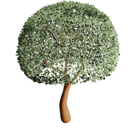 Árbol fértil  3D Icon