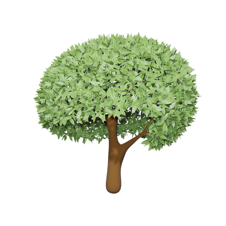 Árbol fértil  3D Icon