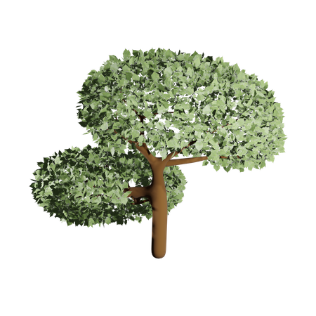 Árbol fértil  3D Icon