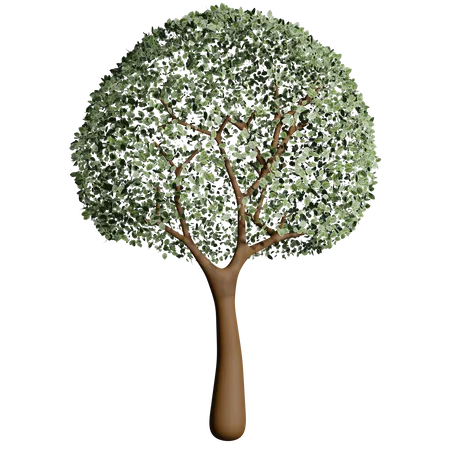 Árbol de primavera  3D Icon