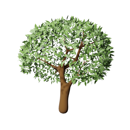 Árbol de primavera  3D Icon