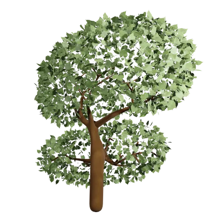 Árbol de primavera  3D Icon