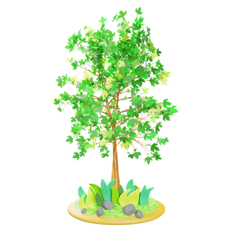 Árbol de primavera  3D Icon