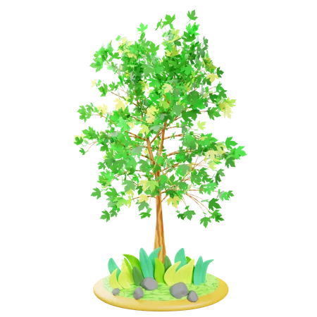 Árbol de primavera  3D Icon