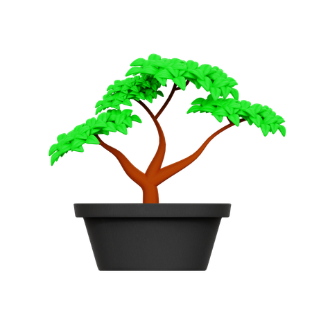 Arbre  3D Icon